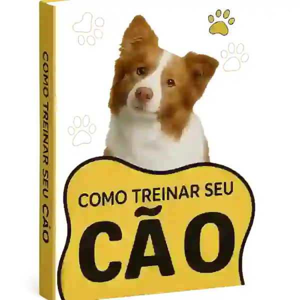 Treinamento básico de cães 2